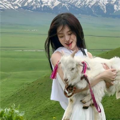 特瑞萨的噩梦